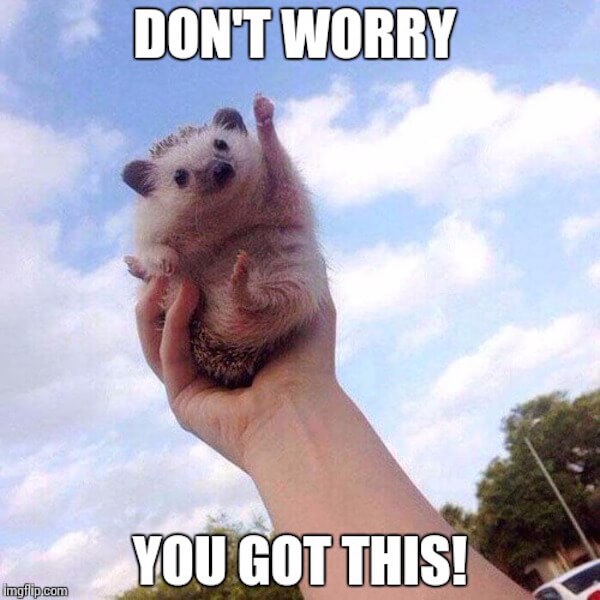 Do Not Worry You Got This!