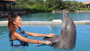 Best Enjoyment in Dolphin Cove Jamaica